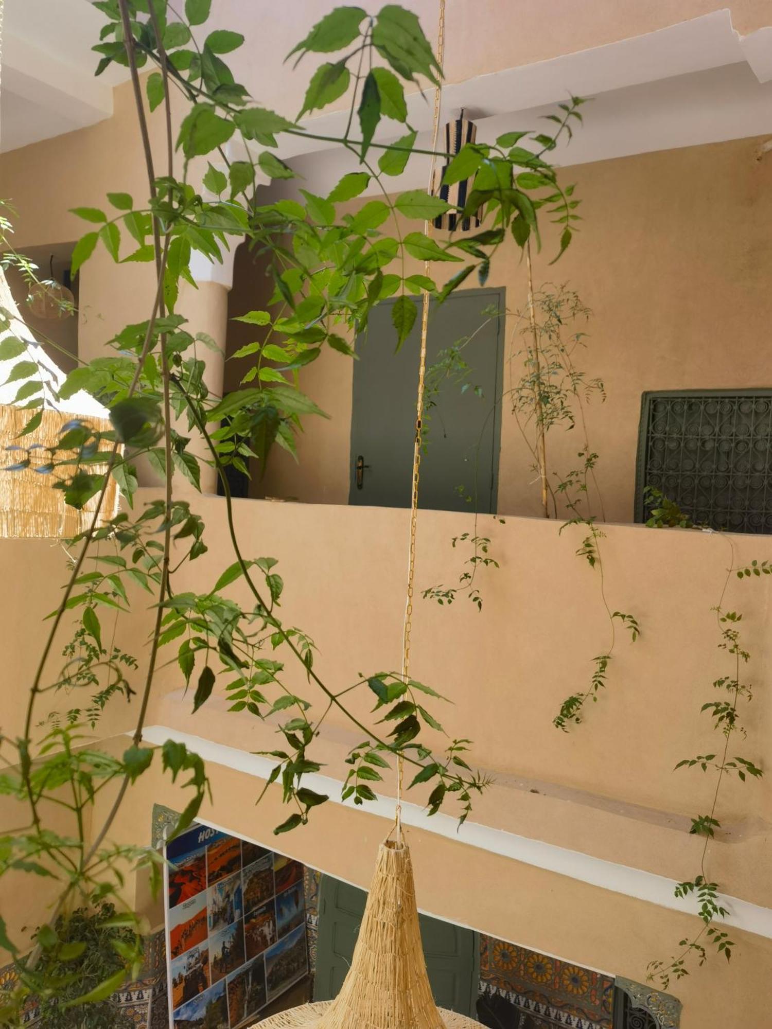 Medina Oasis Hostel 马拉喀什 外观 照片