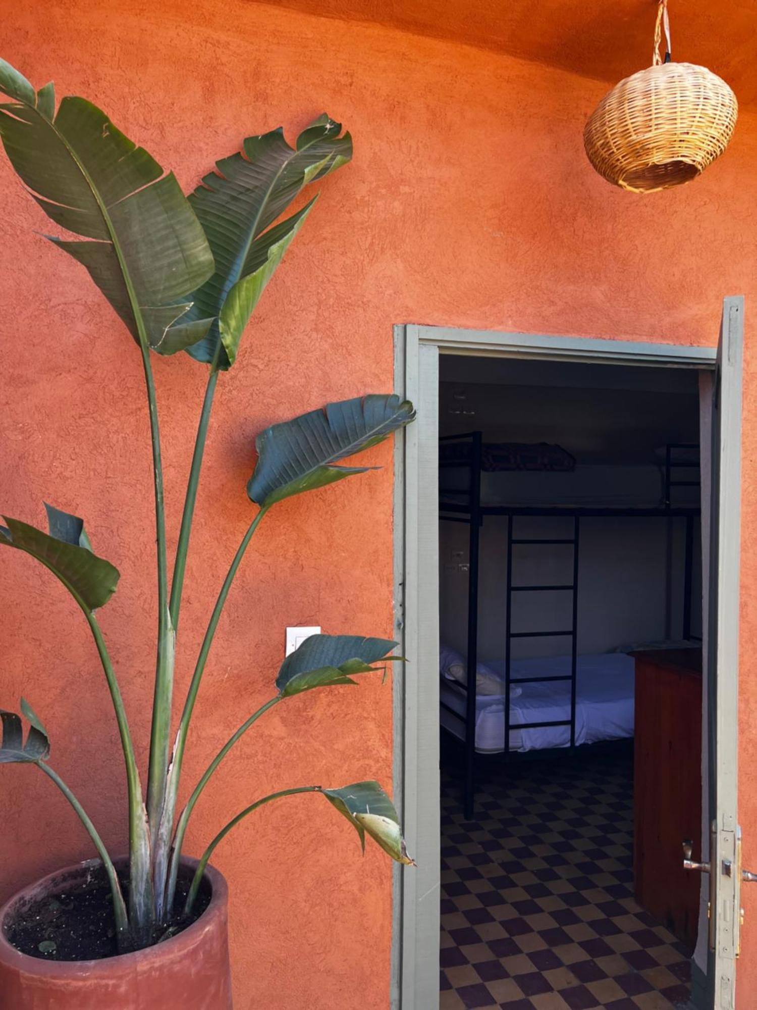Medina Oasis Hostel 马拉喀什 外观 照片